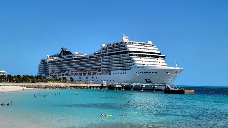 MSC Magnifica, by Kiran891