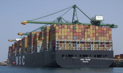 MSC Irene, by APS