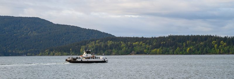 Whatcom Chief, by Gordon Leggett