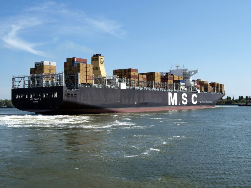 MSC Daniela, by Alf van Beem