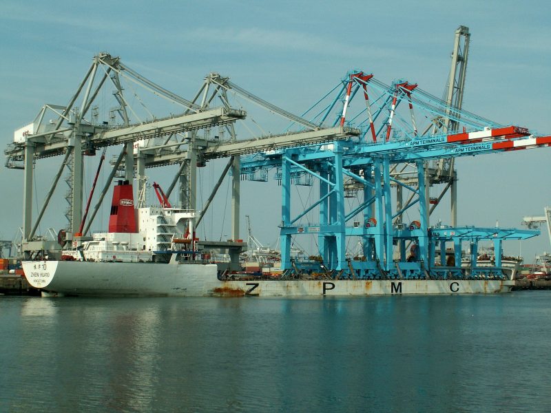 Zhen Hua 10, by AlfvanBeem