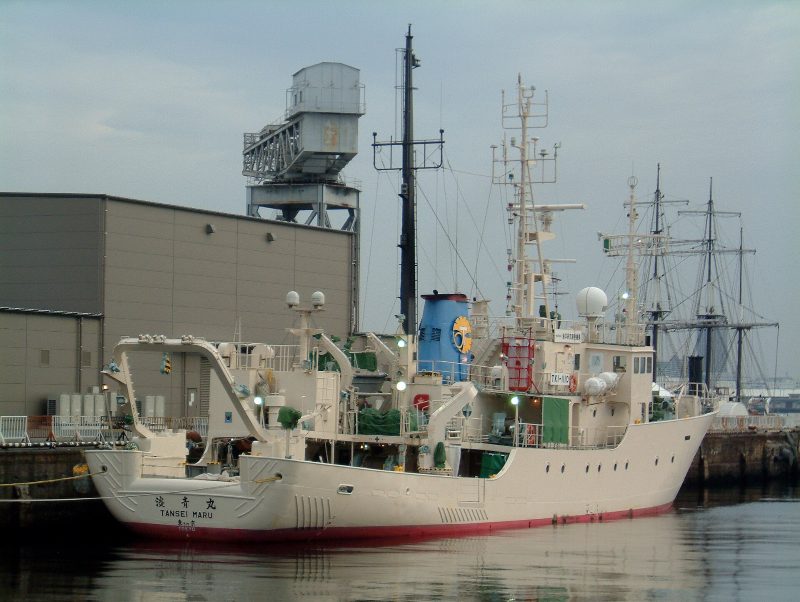 RV Tansei Maru, by Ootahara
