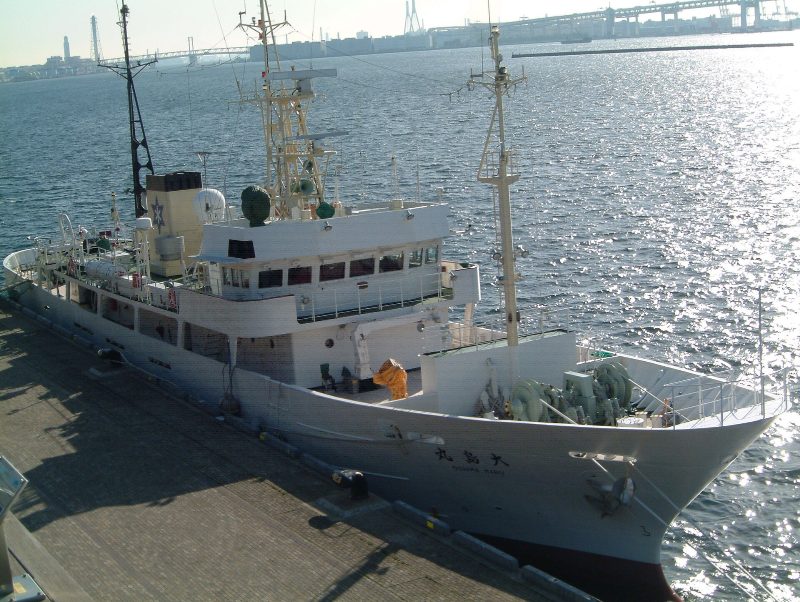 Oshima Maru, by Ootahara