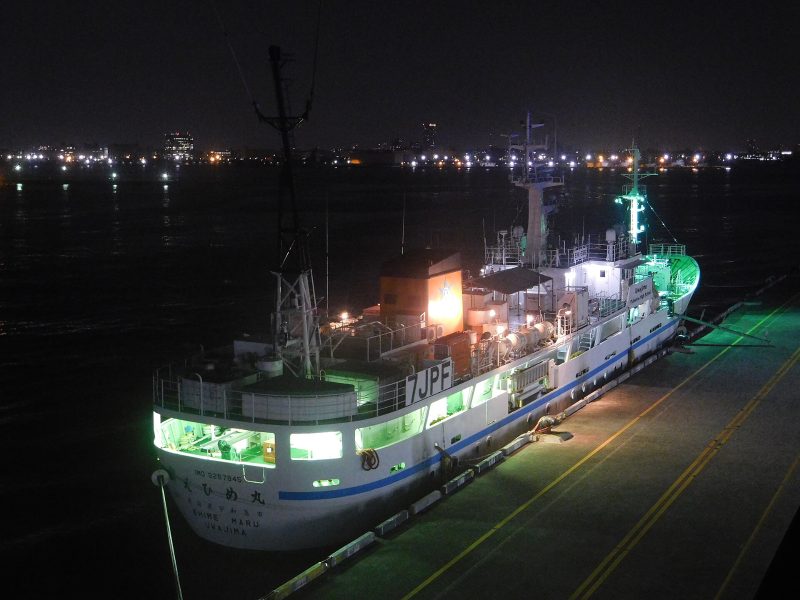 Ehime Maru, by Ootahara