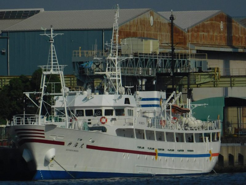 SN1-201 Shinkai Maru, by Ootahara