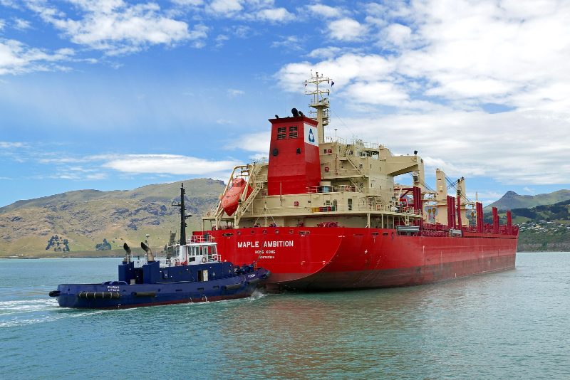 Maple Ambition, by Bernard Spragg. NZ from Christchurch, New Zealand