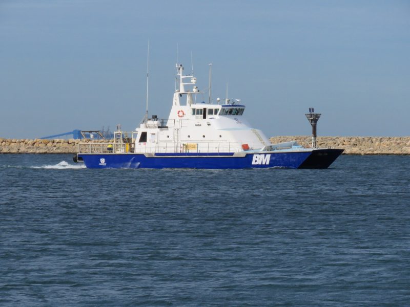 Wauri (port tender), by Calistemon