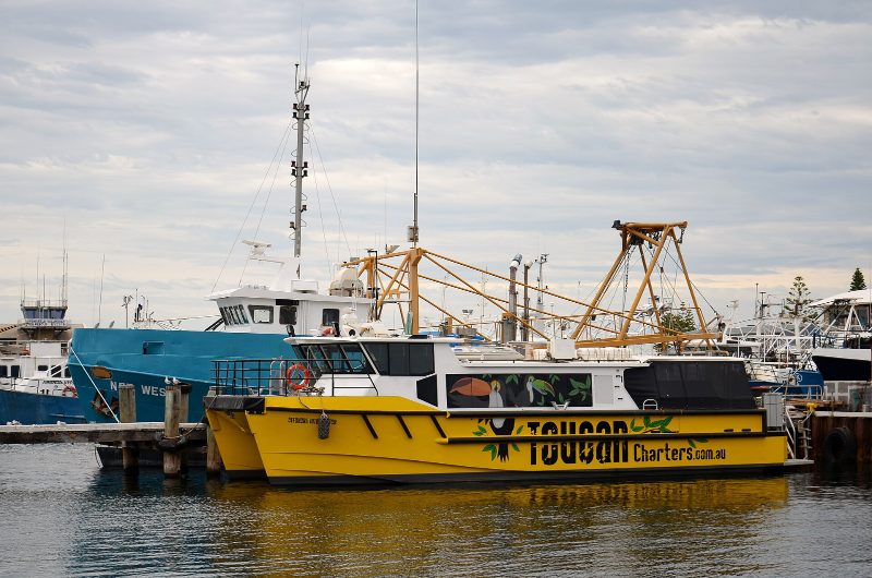 Offshore Interceptor, Fremantle, 2017, by Bahnfrend