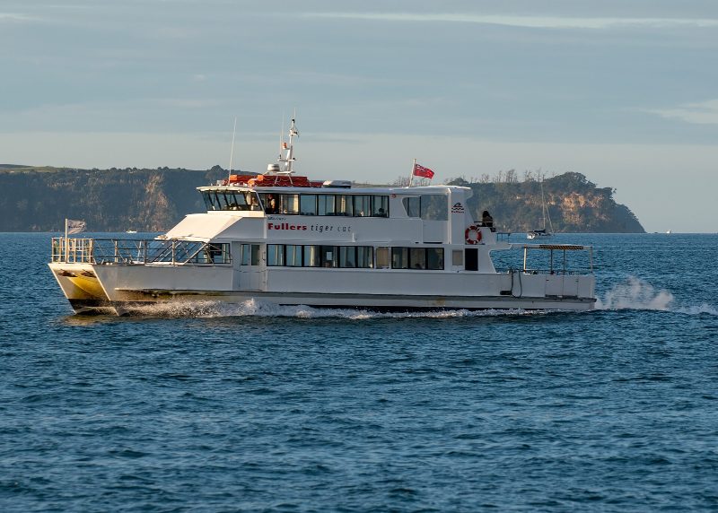 Tiger Cat, by Logan Clarke (Auckland Boatspotting)