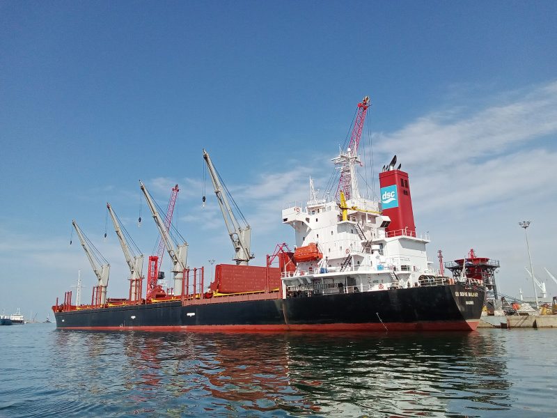 DS Sofie Bulker, by Farid mernissi