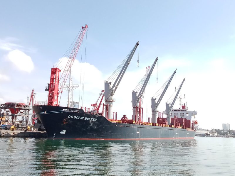 DS Sofie Bulker, by Farid mernissi