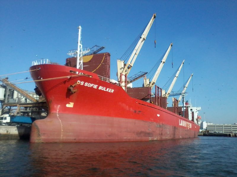 DS Sofie Bulker, by Farid mernissi