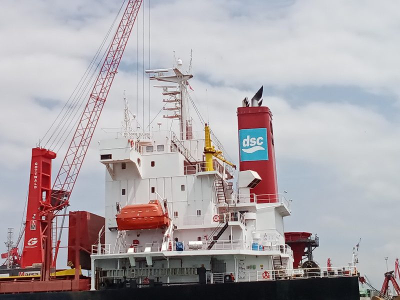 DS Sofie Bulker, by Farid mernissi
