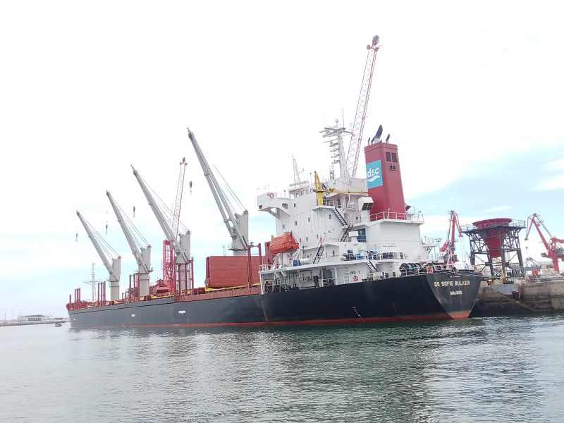 DS Sofie Bulker, by Farid mernissi