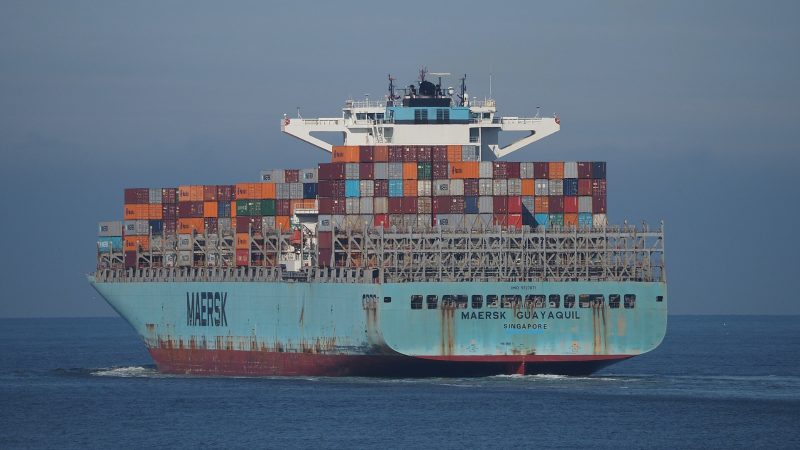 Maersk Guayaquil, by Alfvanbeem