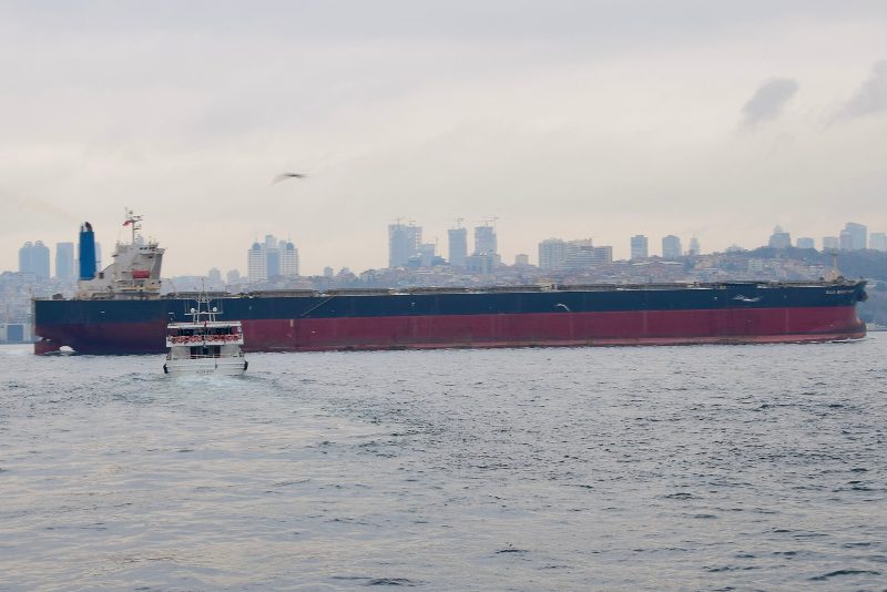 Bulk Singapore, by Ank Kumar