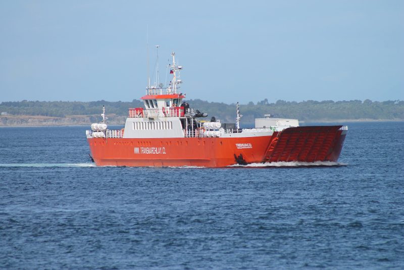 Trehuaco, by Draceane