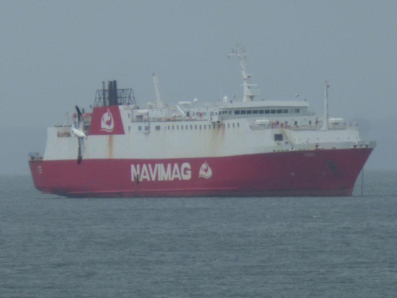 Mazatlan Star, by Patricio Pillancari