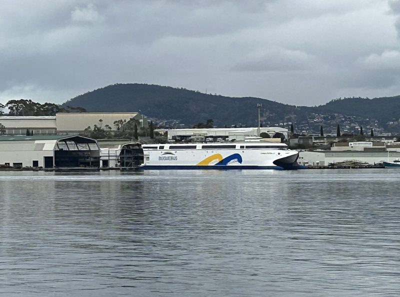 HSC China Zorrilla, by Chuq